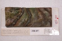 藏品(整合與不整合地層模型)的圖片